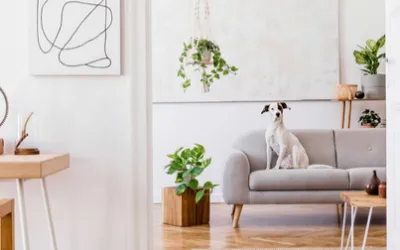 5 Things Landlords should be doing by 2022