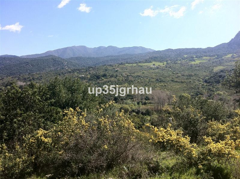 Land in Gaucín