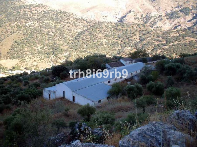 Commercial property in Ronda