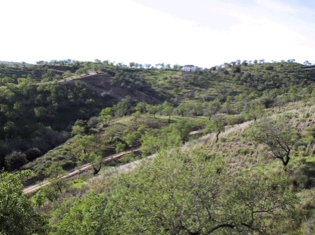 Land in Monda