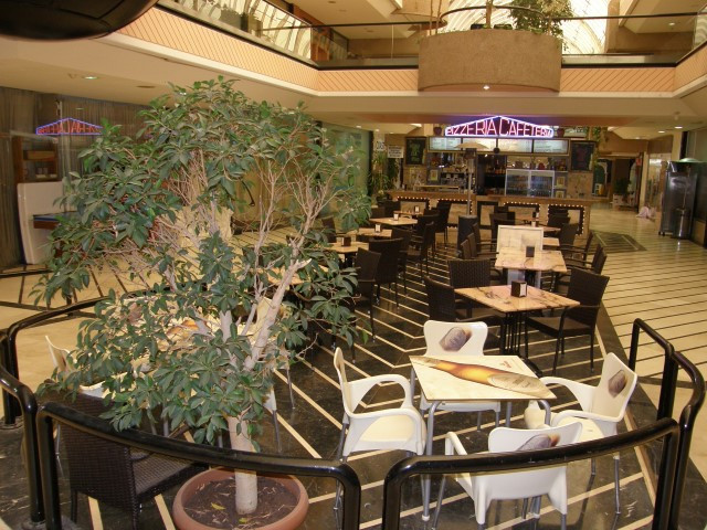 Commercial property in Marbella