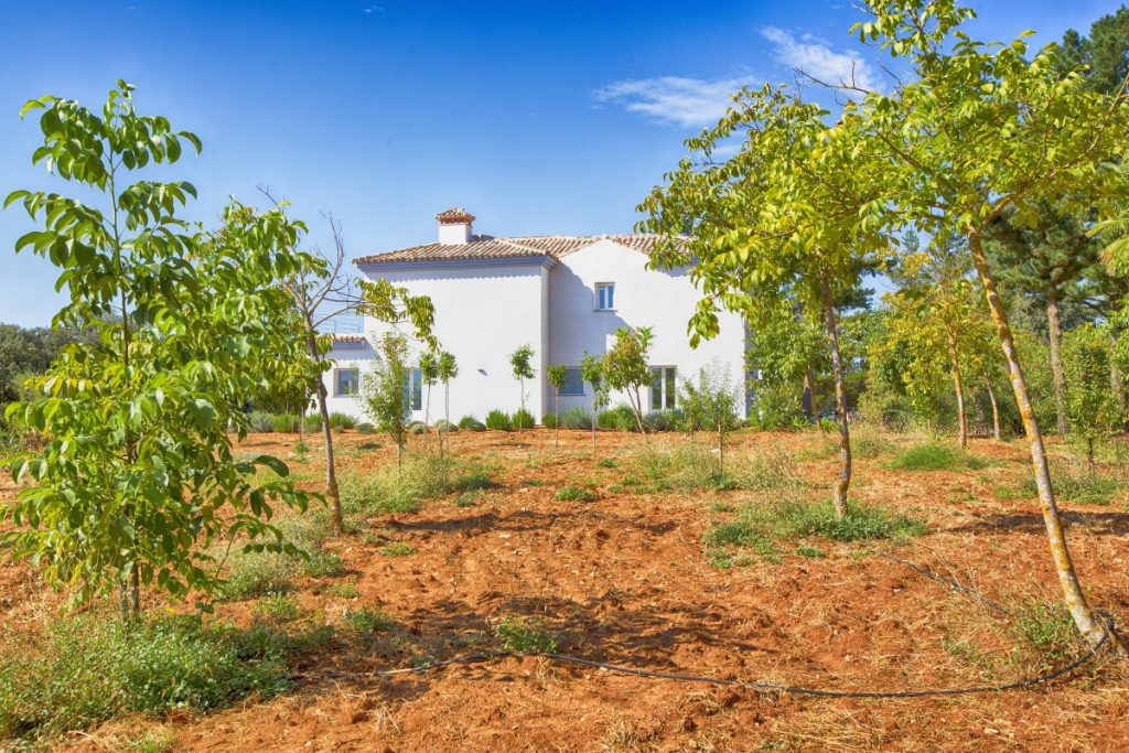 Country house in Ronda
