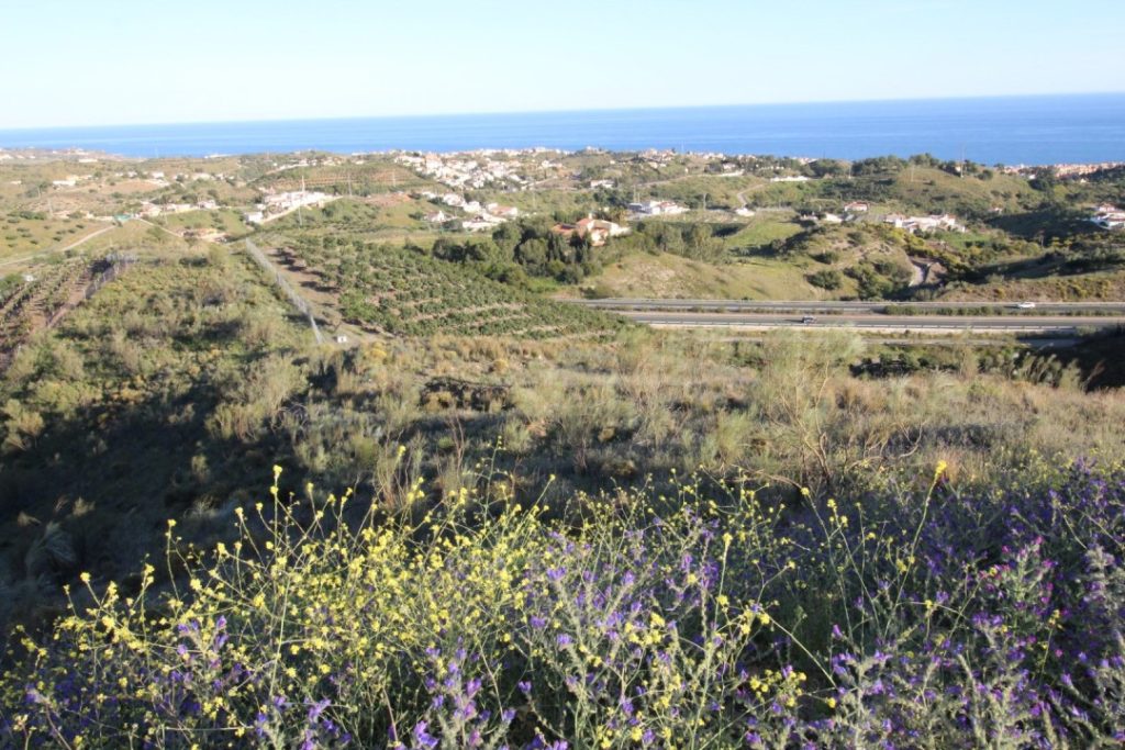 Land in Vélez-Málaga