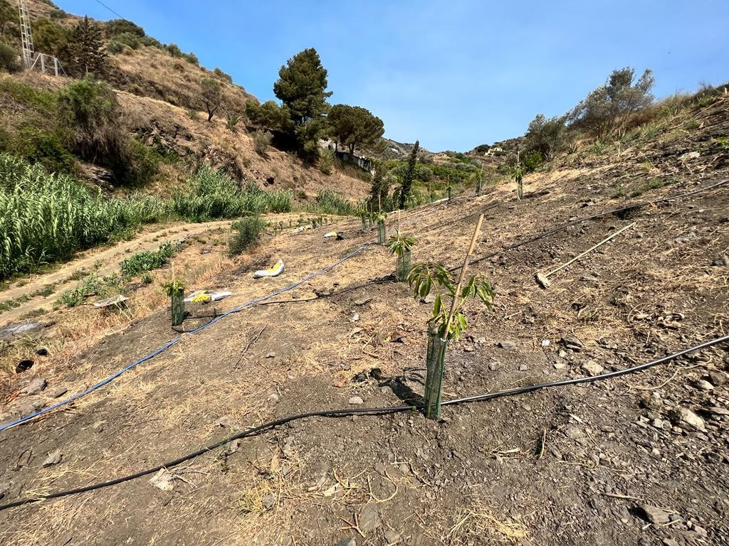 Land in Torrox