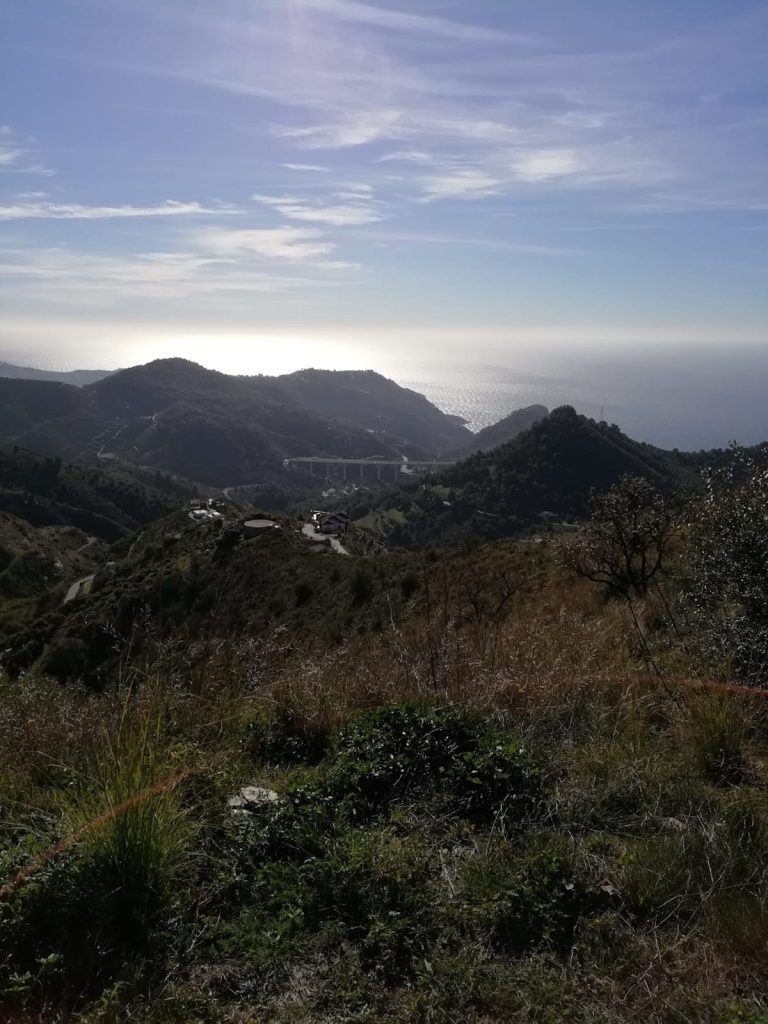 Land in Nerja