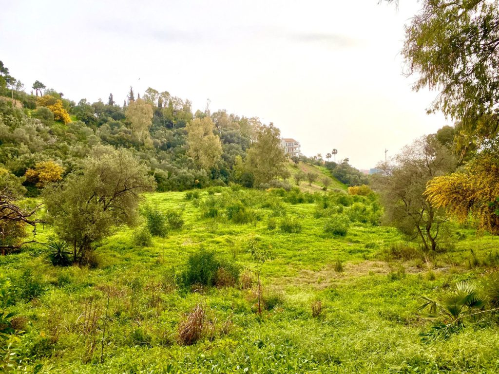 Land in Benahavís