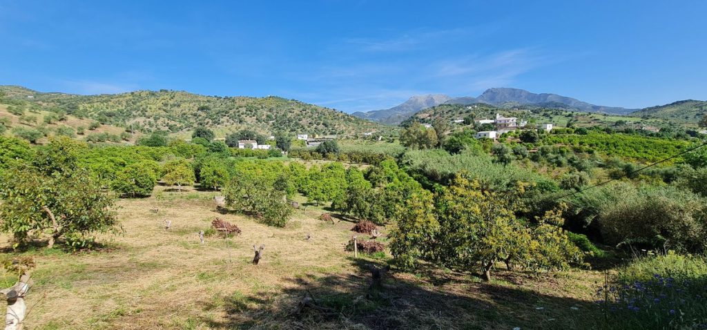 Land in Tolox