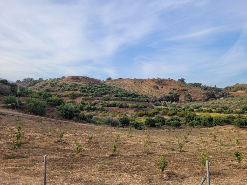Land in Guaro