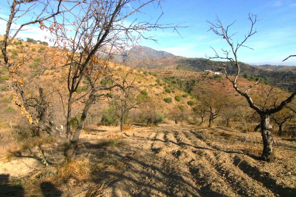 Land in Tolox