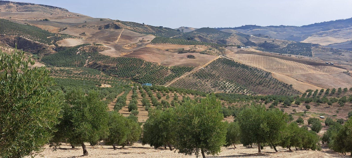 Grundstück in Ronda