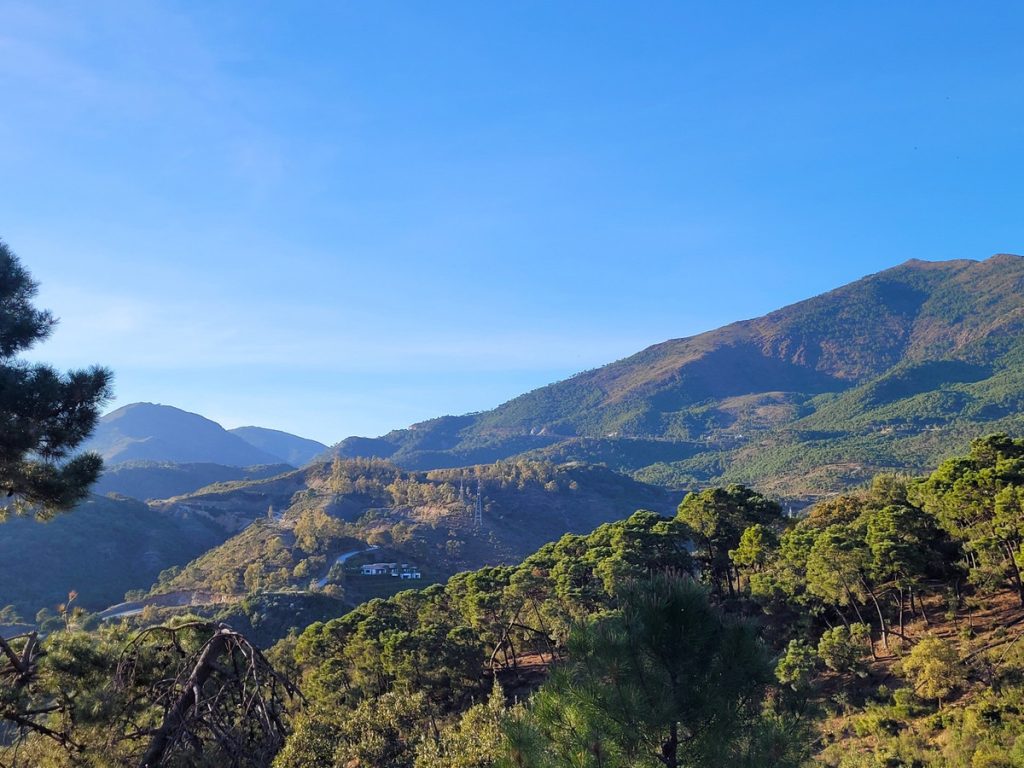 Land in Benahavís