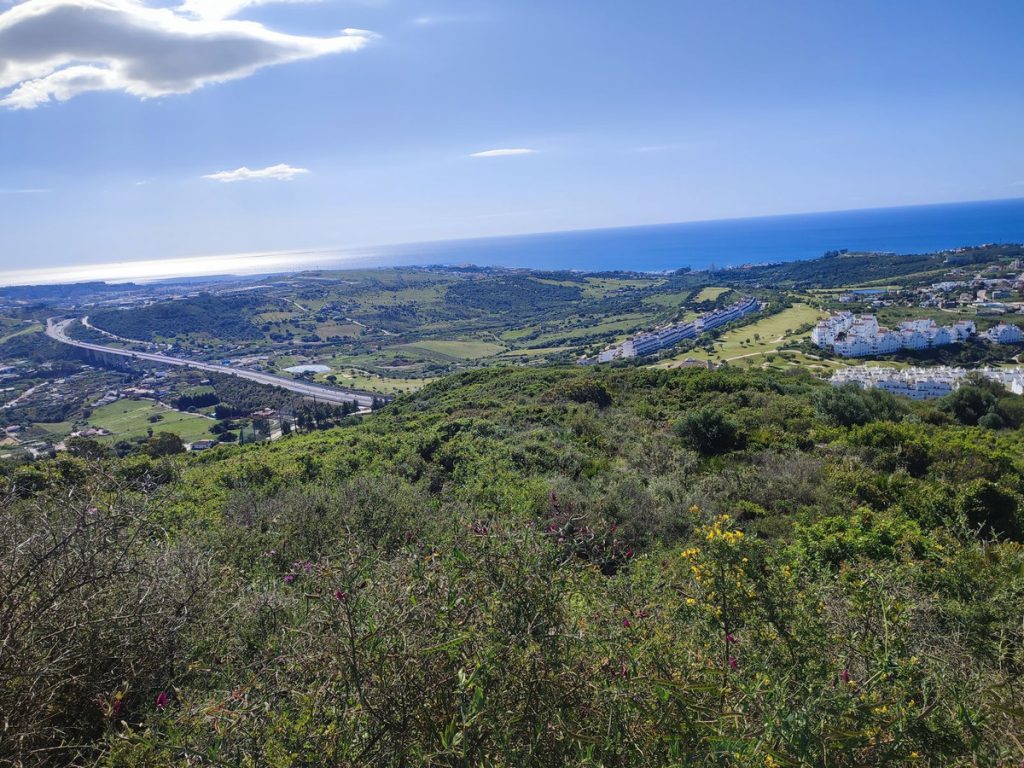 Land in Estepona
