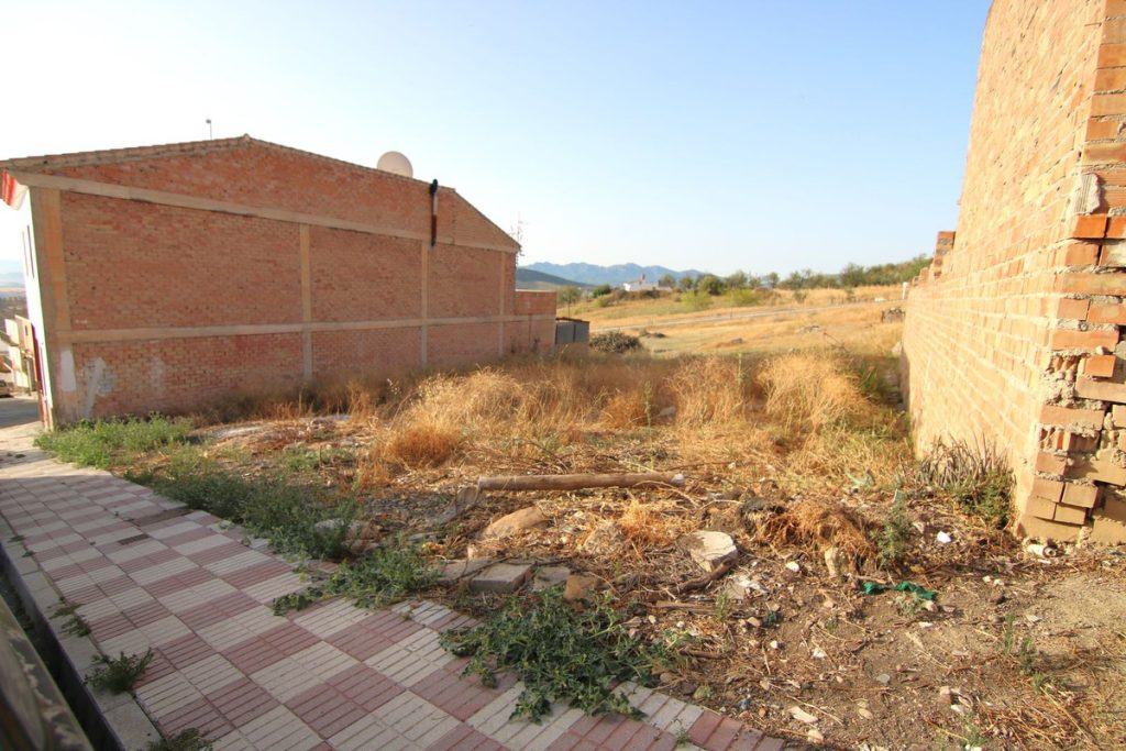 Land in Alozaina