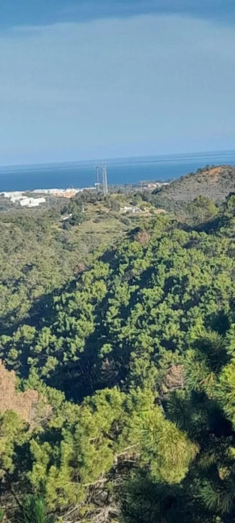 Land in Estepona