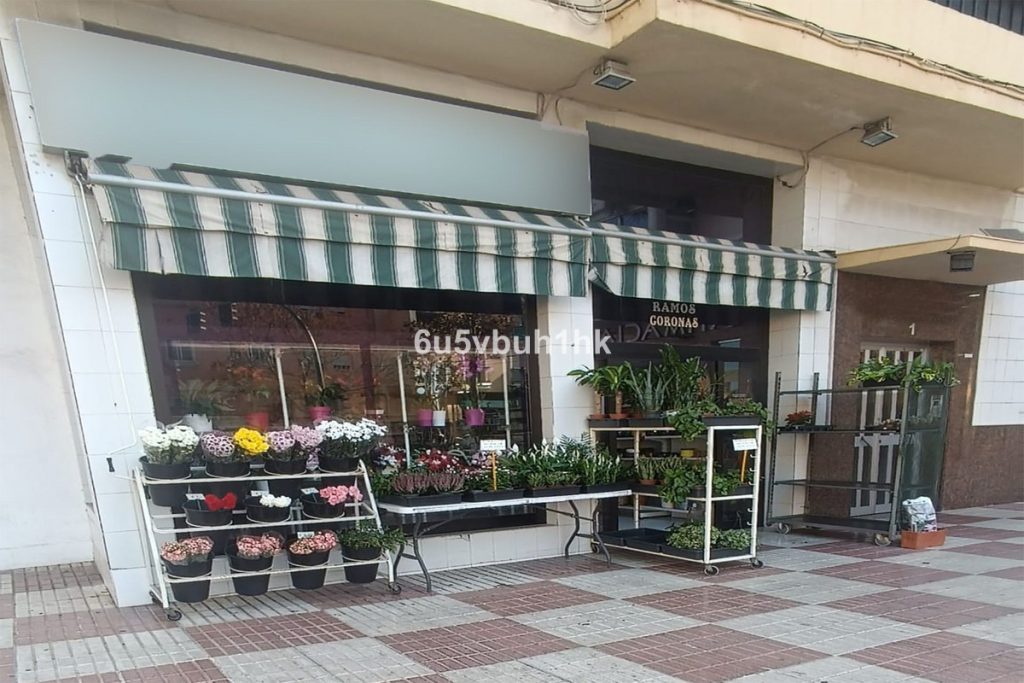 Commercial property in Marbella