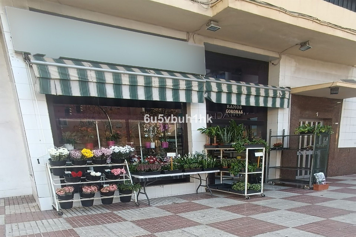 Gewerbeimmobilie in Marbella