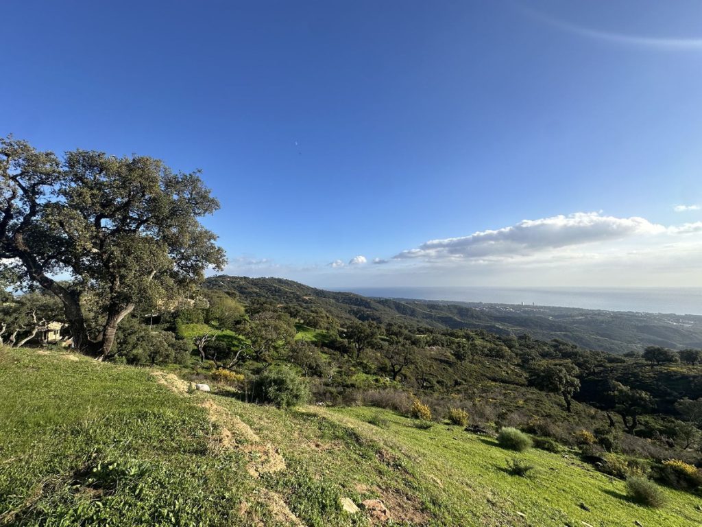 Land in Marbella