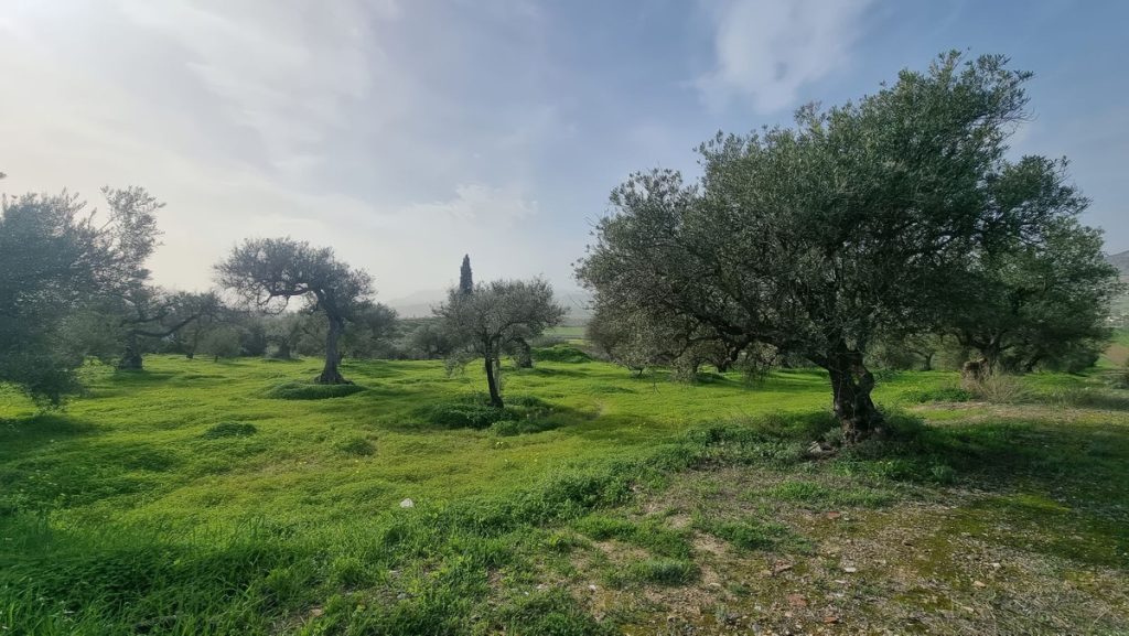Land in Alhaurín el Grande