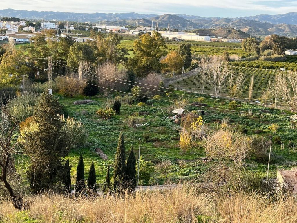 Land in Málaga