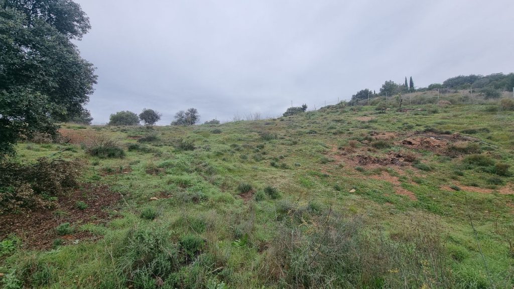 Land in Coín