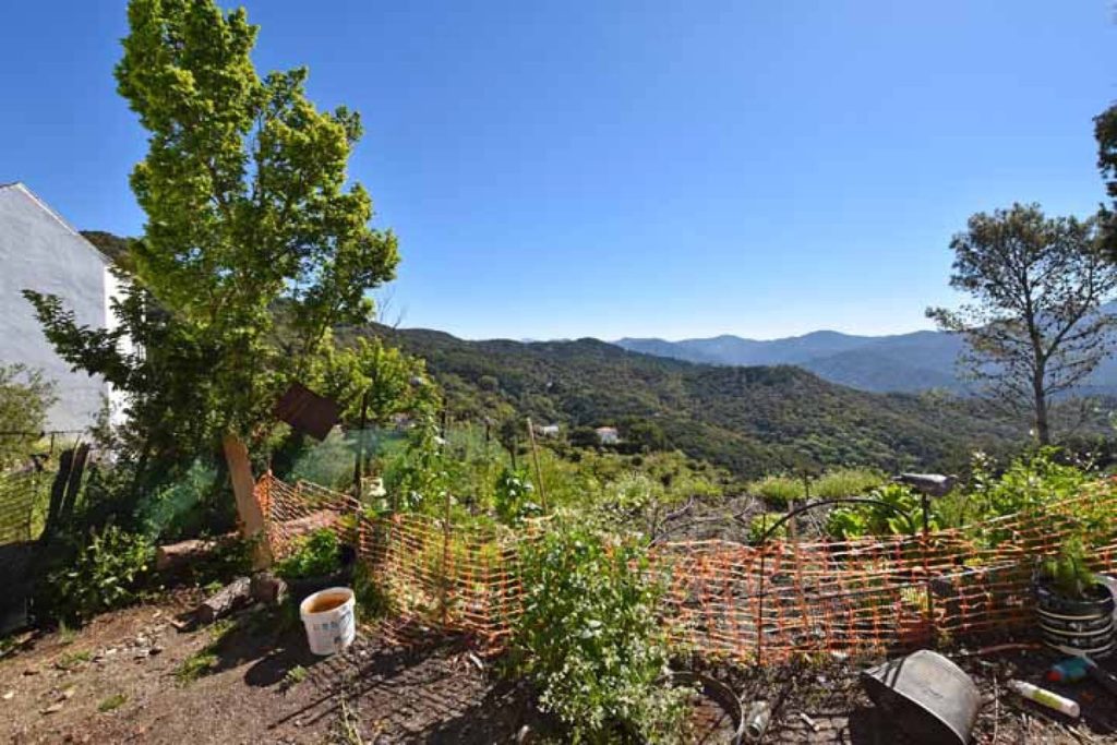 Land in Gaucín