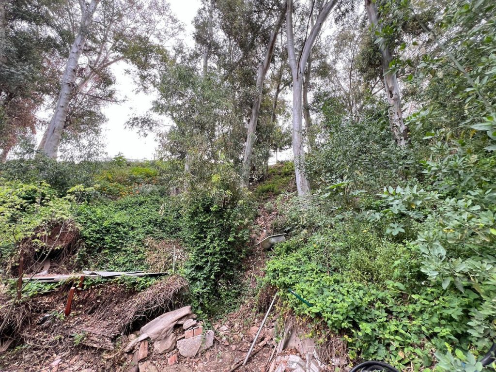 Land in Málaga