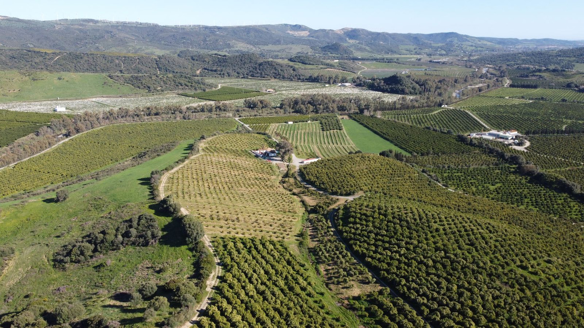 Grundstück in Casares