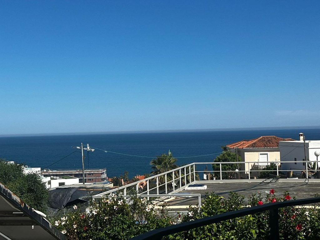Villa in Estepona