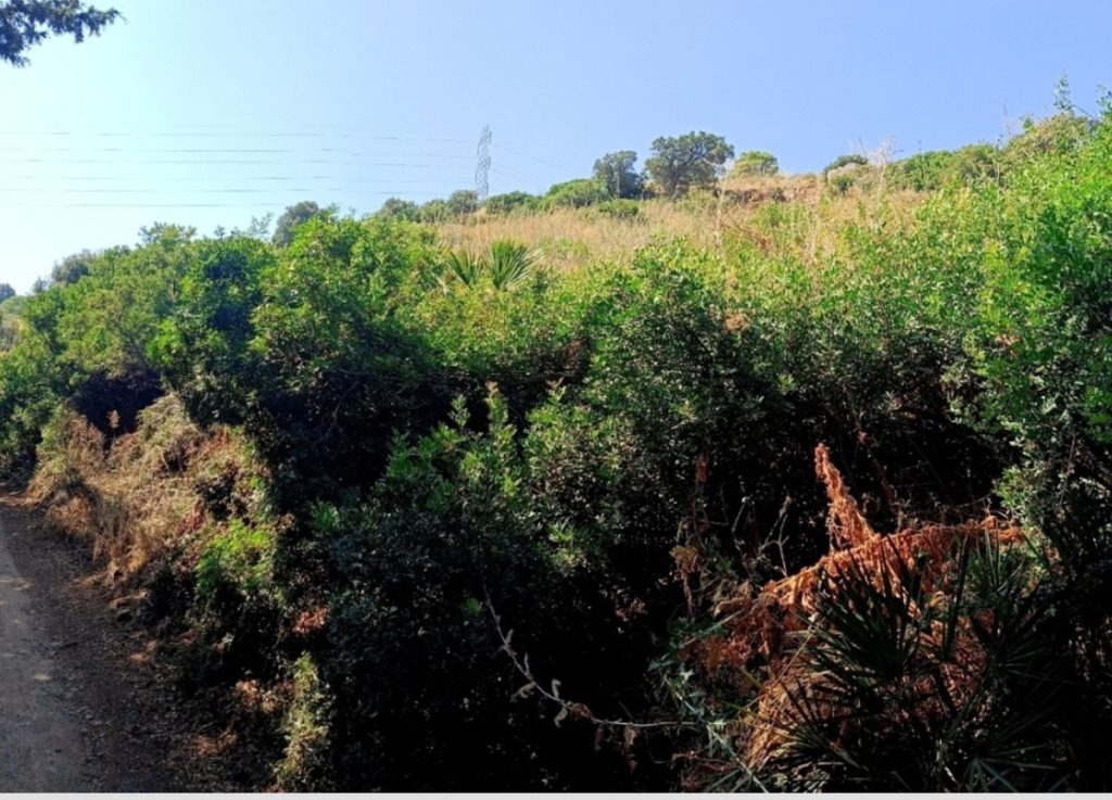 Land in Estepona