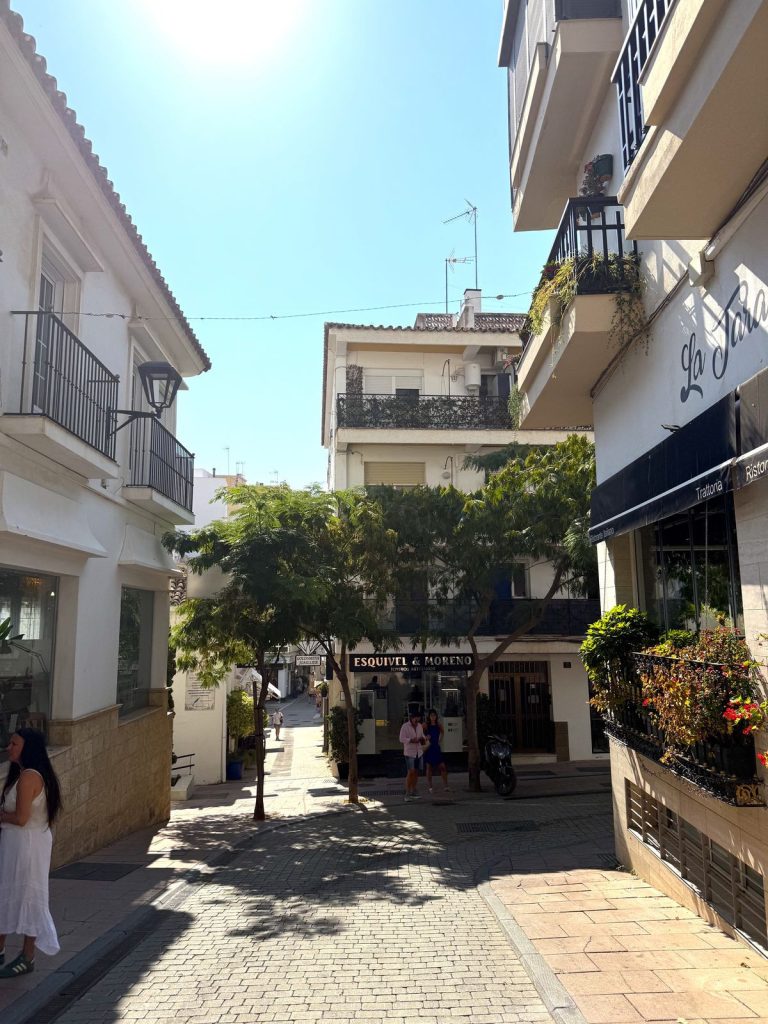 Apartment in Estepona