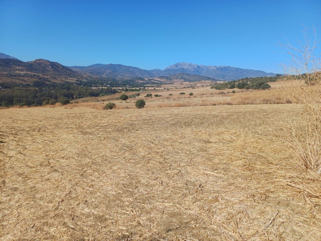 Land in Coín