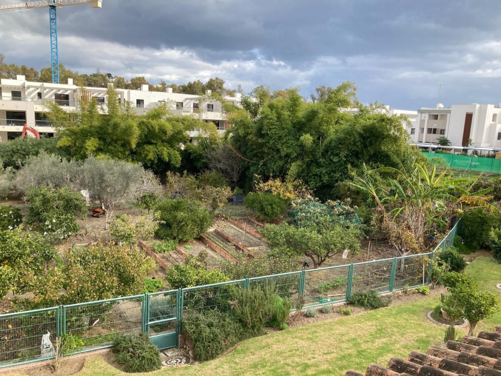 Land in Casares