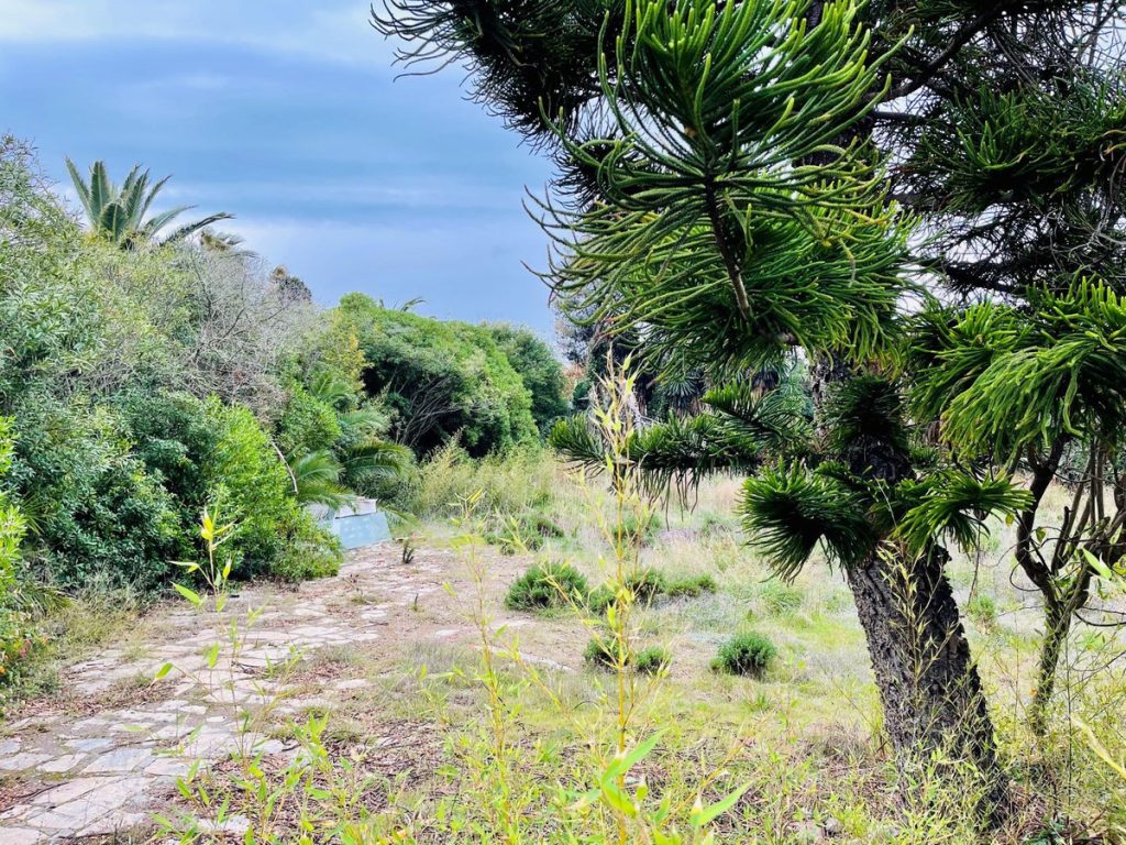 Land in Estepona