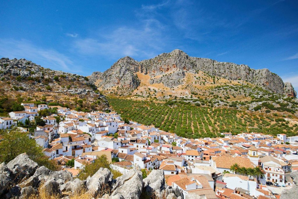 Land in Ronda