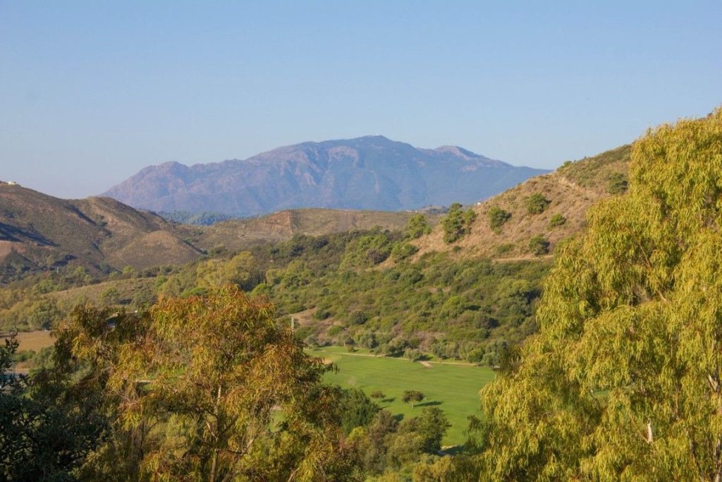 Land in Puerto de la Torre