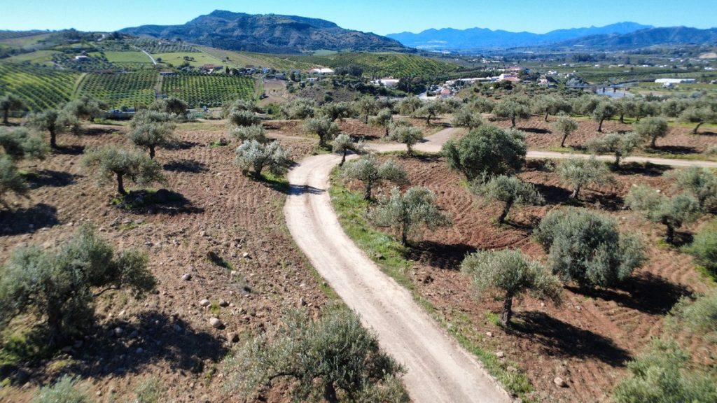 Land in Alora