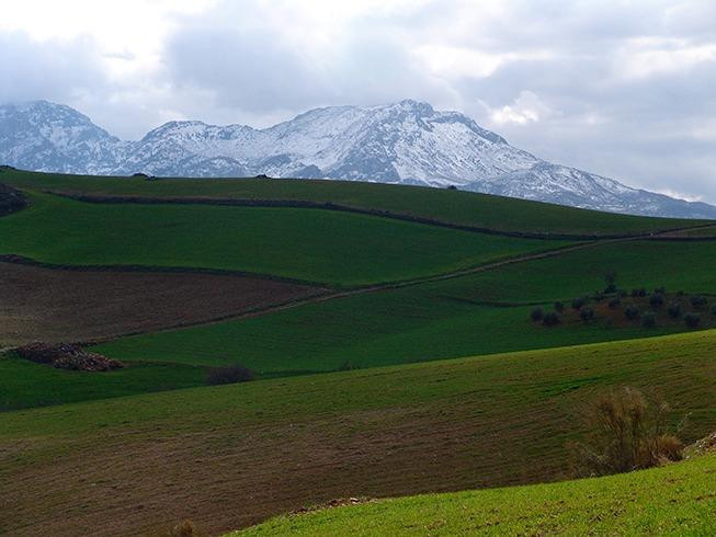 Land in Ardales
