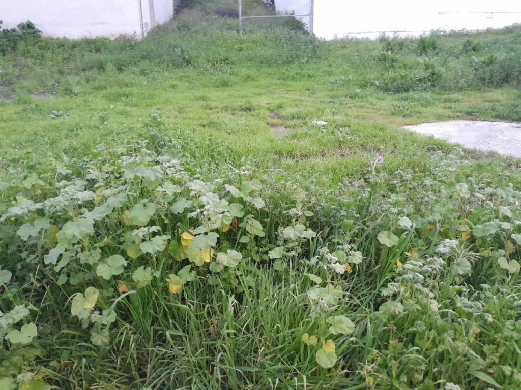 Land in Casares