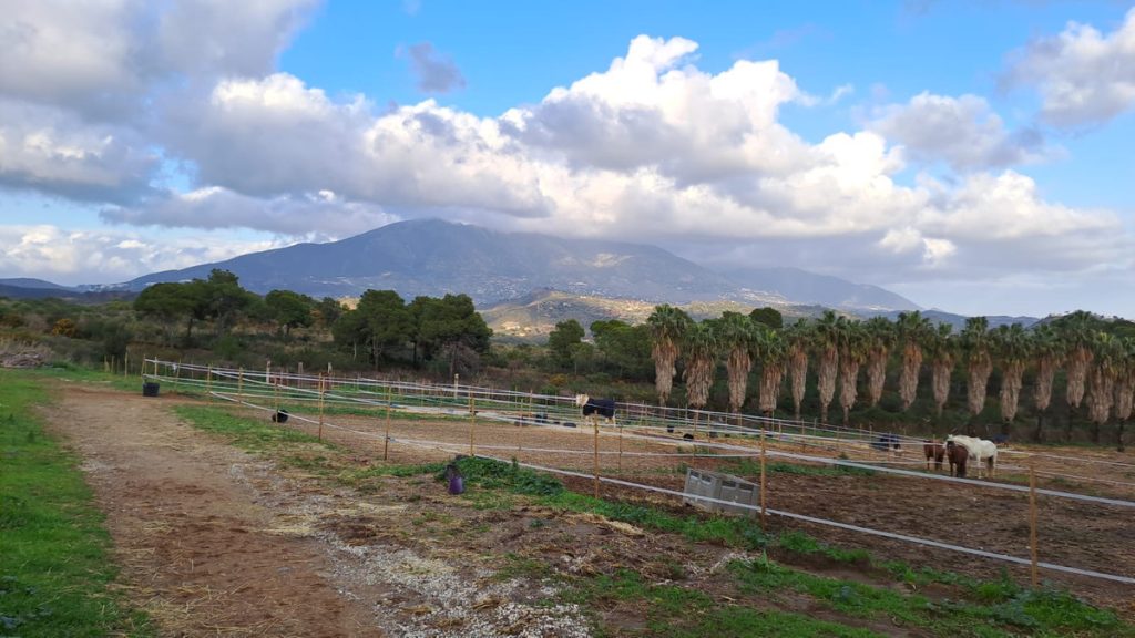 Commercial property in Mijas