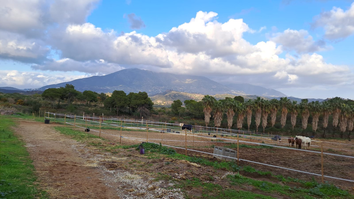 Gewerbeimmobilie in Campo Mijas