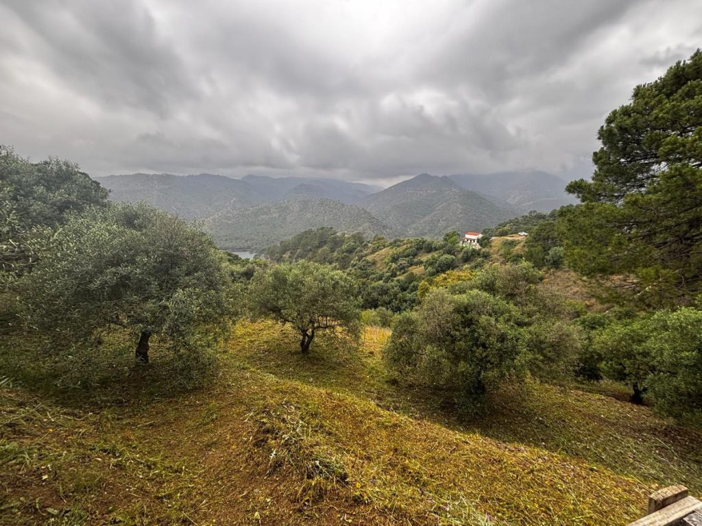 Land in Istán