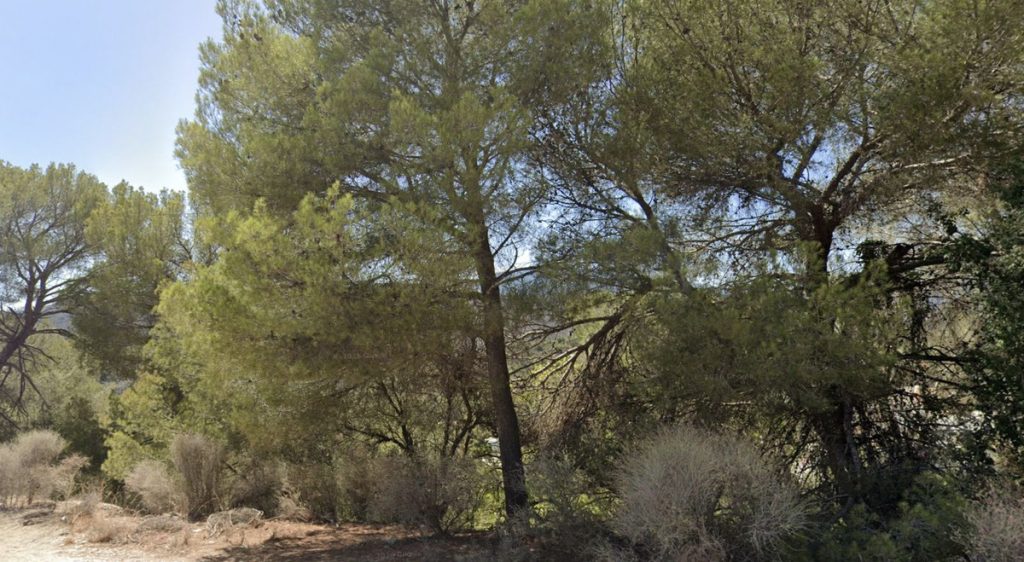 Land in Istán