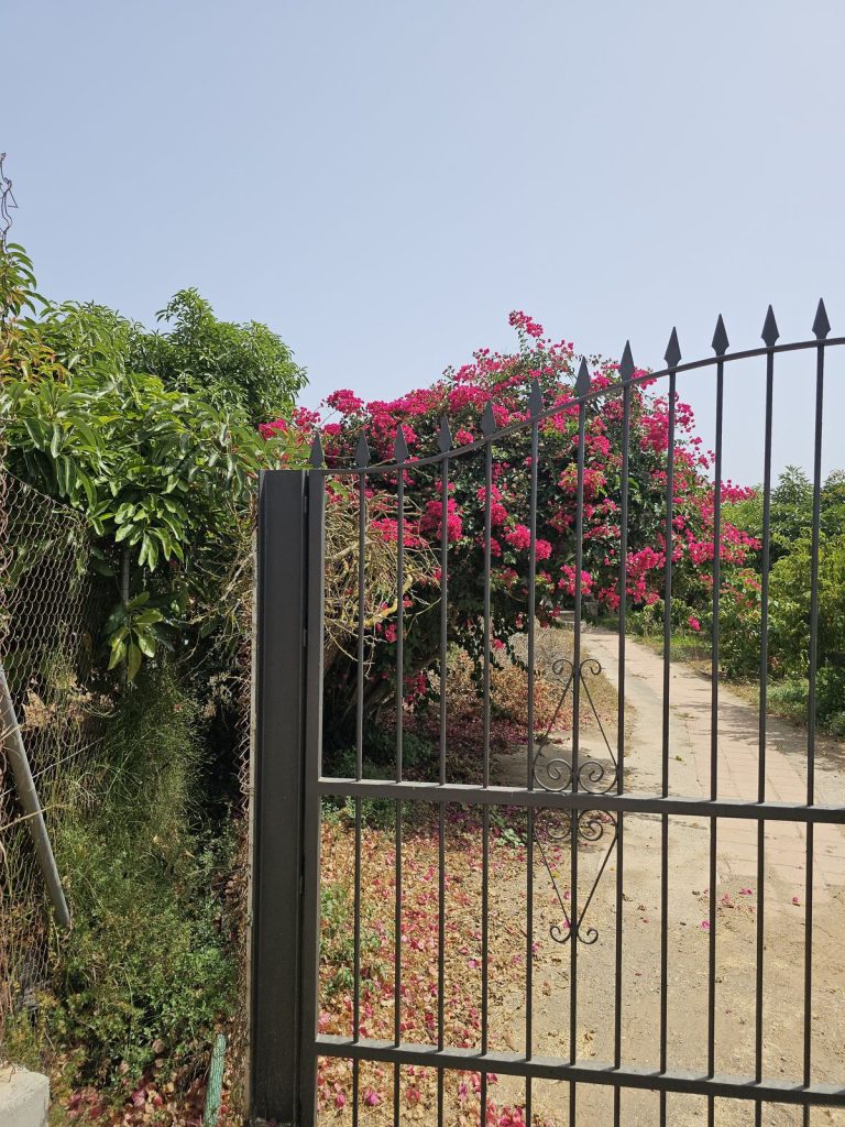 Land in Nerja