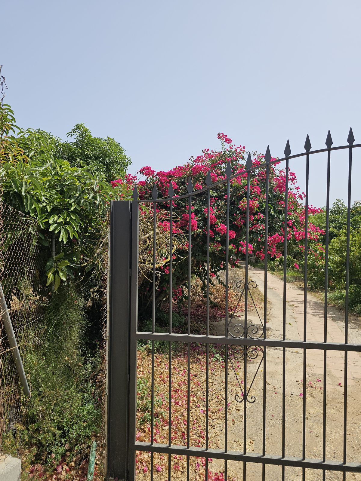 Grundstück in Nerja